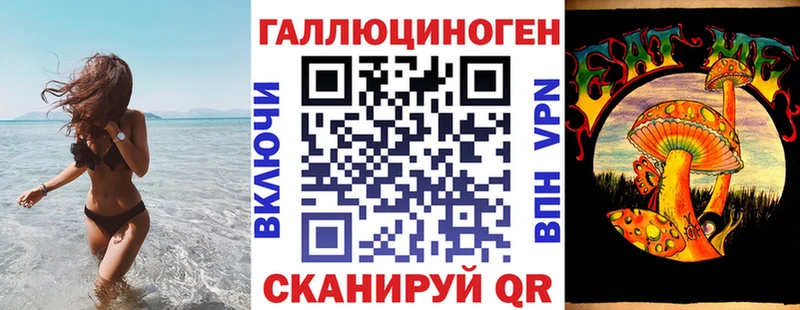 дарк нет телеграм  хочу   Улан-Удэ  Галлюциногенные грибы Psilocybe 